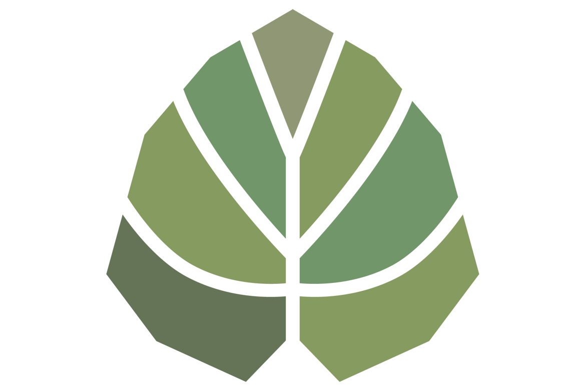 Tilia Studio Architektura Krajobrazu